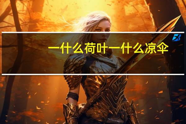 一什么荷叶一什么凉伞