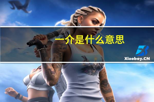 一介是什么意思