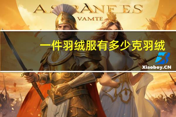 一件羽绒服有多少克羽绒