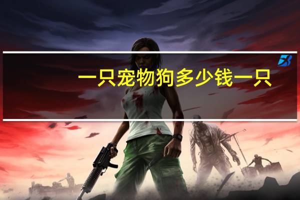 一只宠物狗多少钱一只