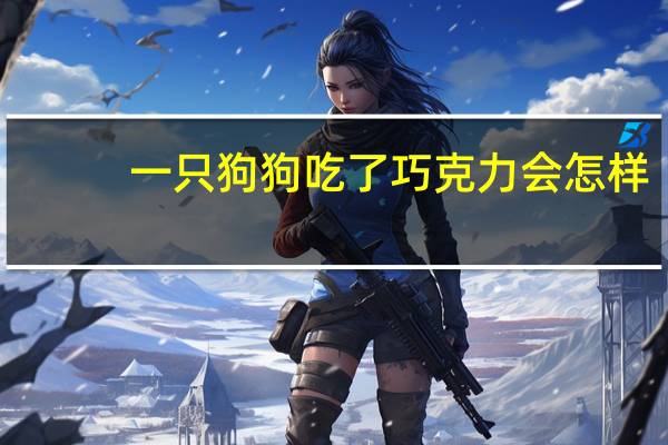 一只狗狗吃了巧克力会怎样