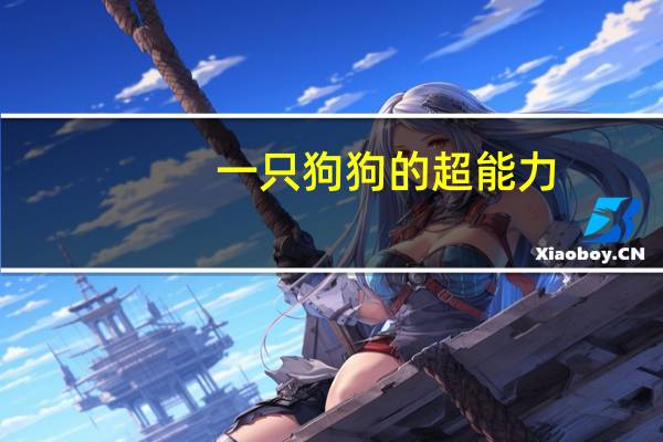 一只狗狗的超能力