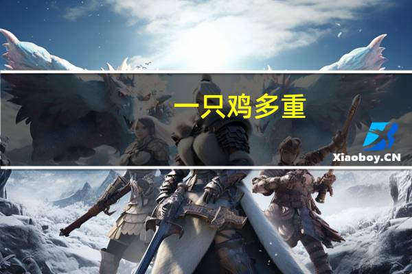 一只鸡多重