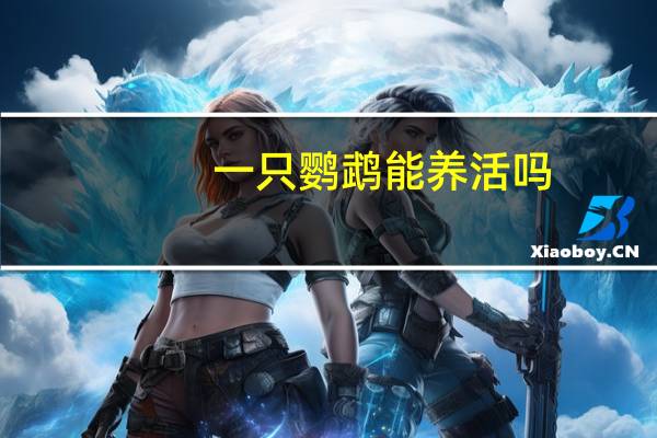 一只鹦鹉能养活吗