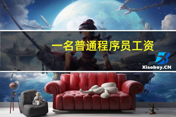 一名普通程序员工资