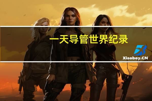 一天导管世界纪录