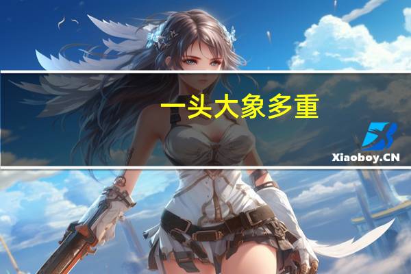 一头大象多重