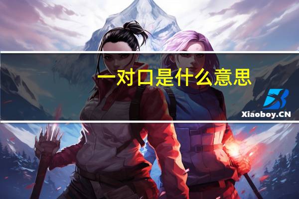 一对口是什么意思