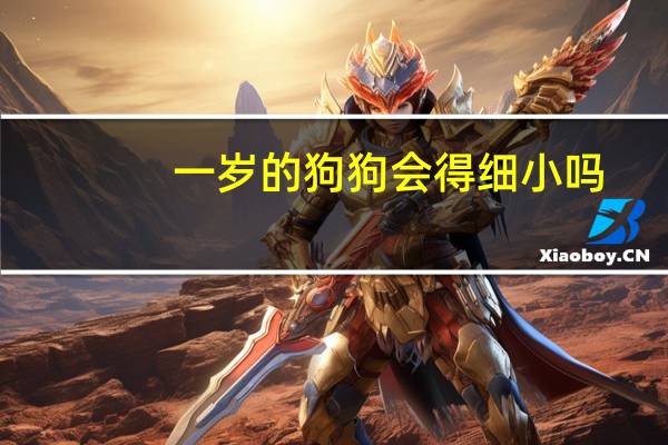 一岁的狗狗会得细小吗