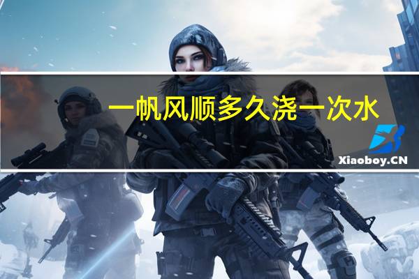 一帆风顺多久浇一次水