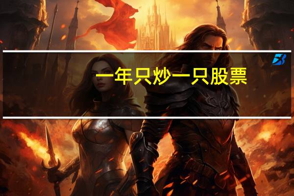 一年只炒一只股票