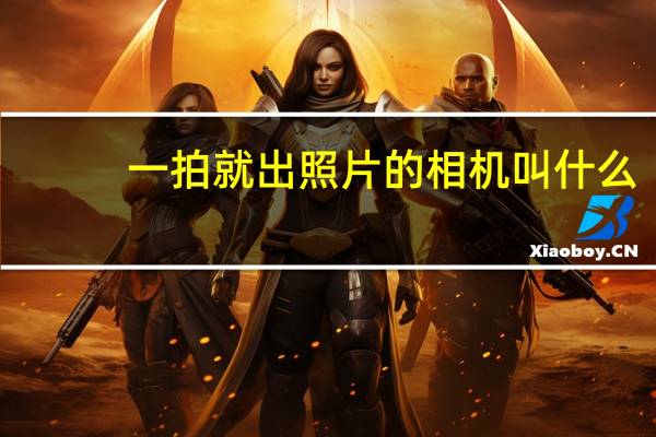 一拍就出照片的相机叫什么