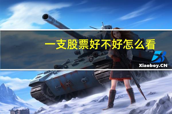 一支股票好不好怎么看