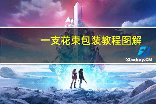 一支花束包装教程图解