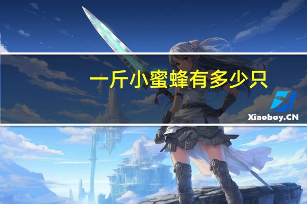 一斤小蜜蜂有多少只