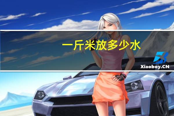 一斤米放多少水