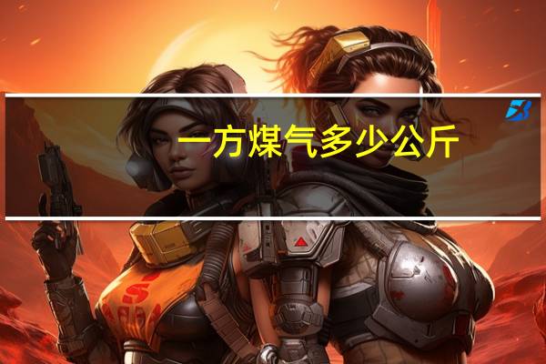 一方煤气多少公斤