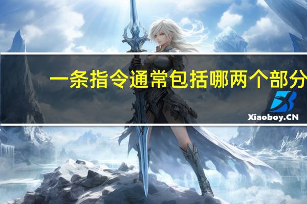 一条指令通常包括哪两个部分
