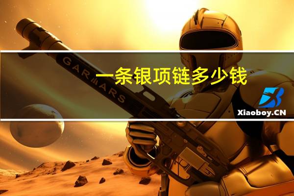 一条银项链多少钱