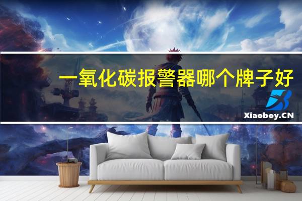 一氧化碳报警器哪个牌子好