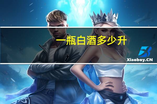 一瓶白酒多少升