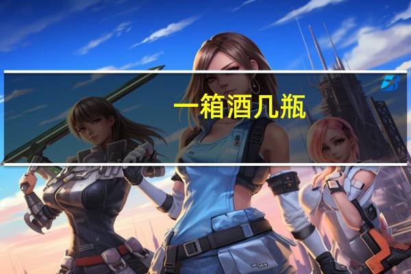 一箱酒几瓶