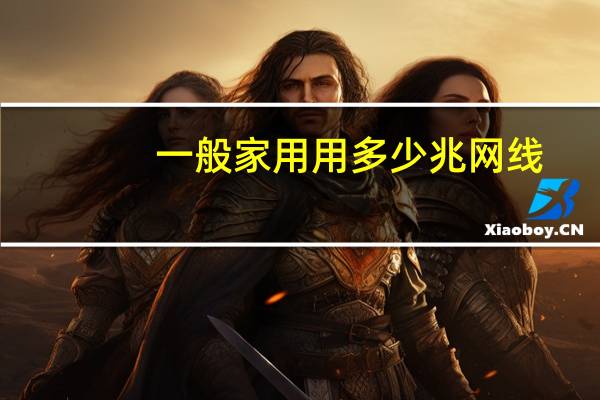 一般家用用多少兆网线