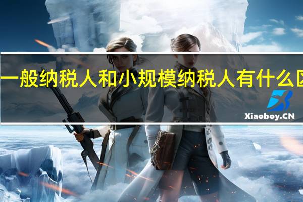 一般纳税人和小规模纳税人有什么区别呢