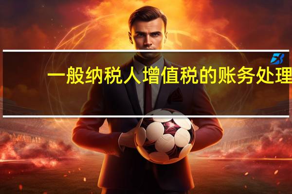 一般纳税人增值税的账务处理