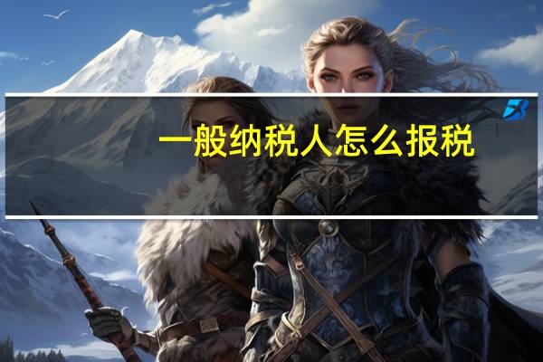 一般纳税人怎么报税
