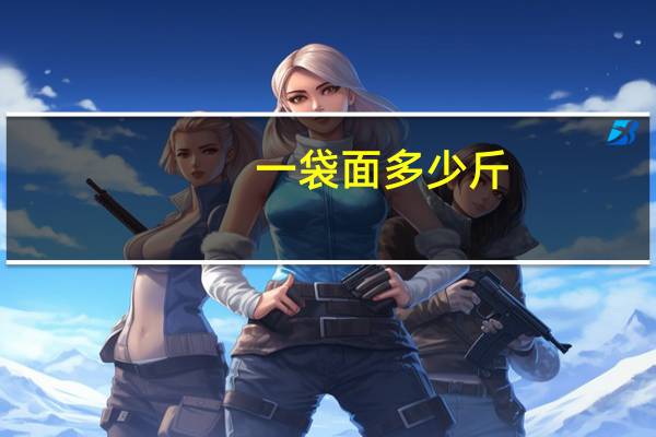 一袋面多少斤