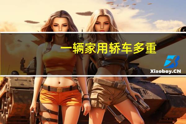 一辆家用轿车多重