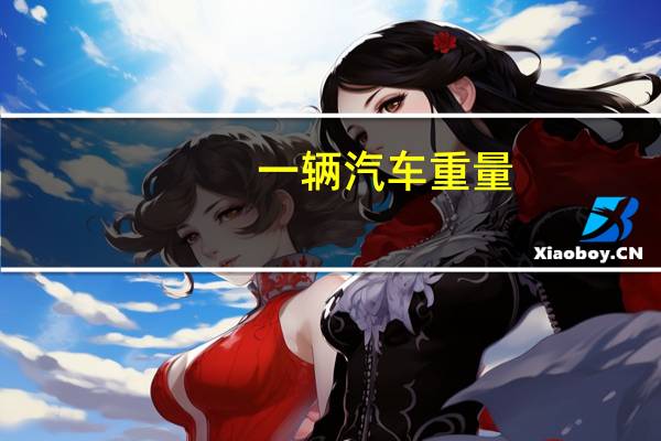 一辆汽车重量
