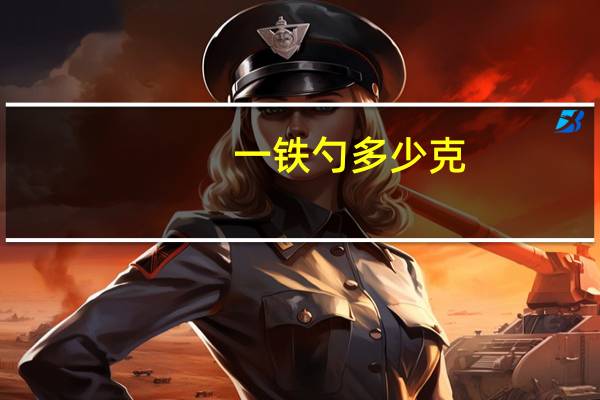 一铁勺多少克