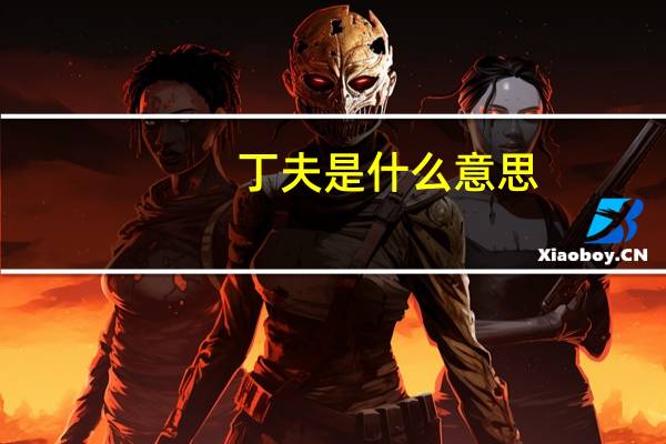 丁夫是什么意思