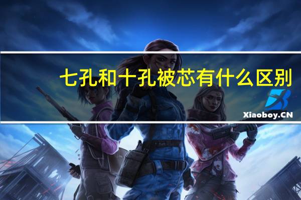 七孔和十孔被芯有什么区别