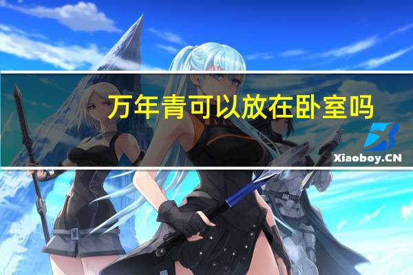 万年青可以放在卧室吗
