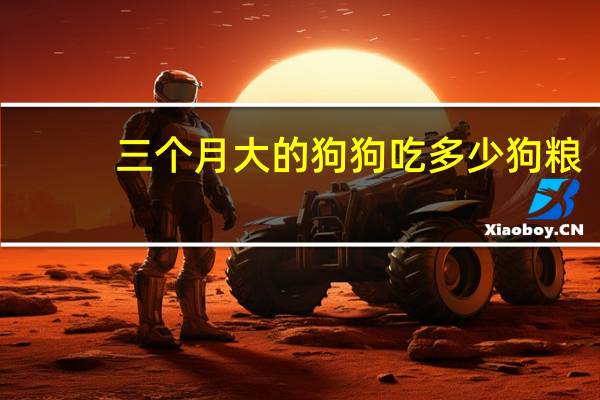 三个月大的狗狗吃多少狗粮