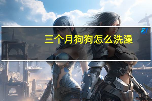 三个月狗狗怎么洗澡