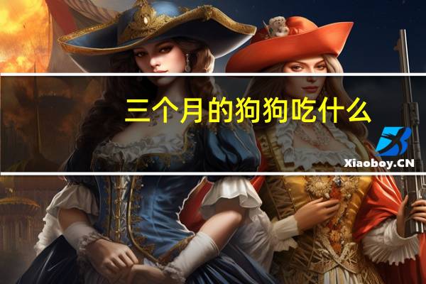 三个月的狗狗吃什么
