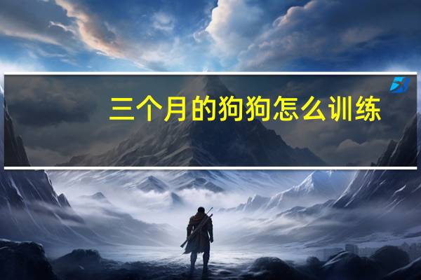 三个月的狗狗怎么训练