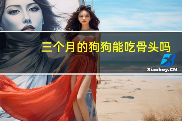 三个月的狗狗能吃骨头吗