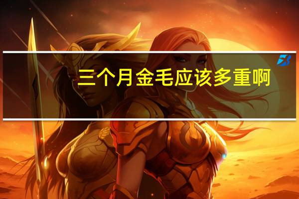 三个月金毛应该多重啊