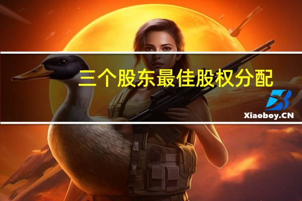三个股东最佳股权分配