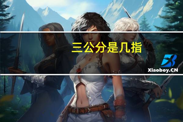 三公分是几指
