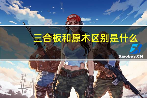 三合板和原木区别是什么