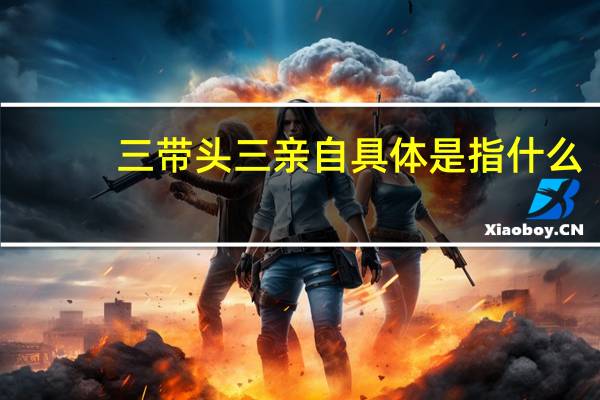 三带头三亲自具体是指什么