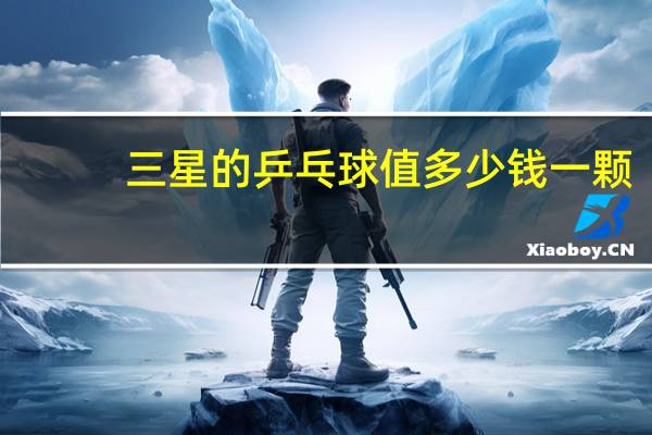 三星的乒乓球值多少钱一颗