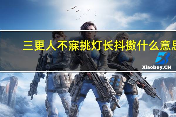 三更人不寐挑灯长抖擞什么意思