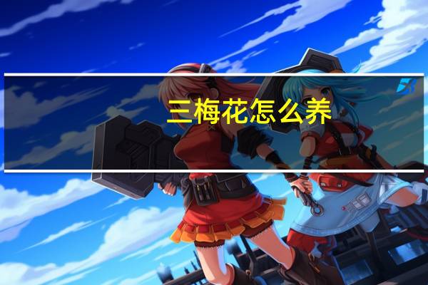 三梅花怎么养